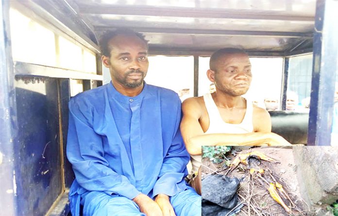 Police Nabs Pastor Over Ritual Killing