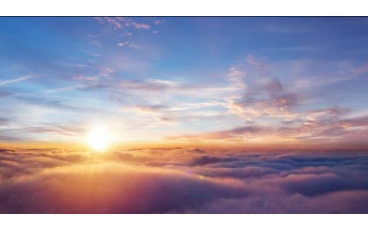 THE PLACE OF DIVINITY IN HUMANITY
