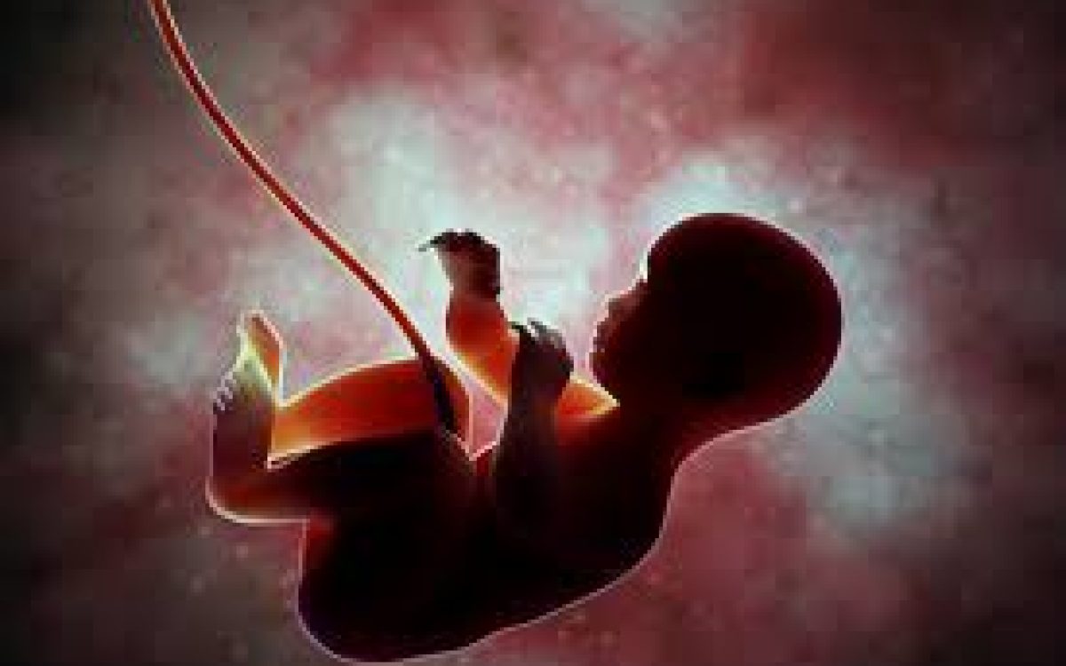 Teen Vogue editorial says abortion “can be funny.”